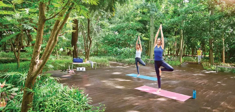 Yoga Area